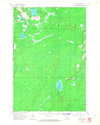 Download a high-resolution, GPS-compatible USGS topo map for Monico NE, WI (1966 edition)
