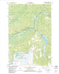 Download a high-resolution, GPS-compatible USGS topo map for Monson Lake, WI (1983 edition)