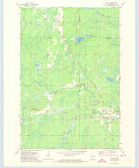 Download a high-resolution, GPS-compatible USGS topo map for Newald, WI (1974 edition)