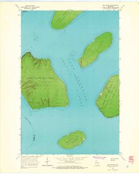 Download a high-resolution, GPS-compatible USGS topo map for Oak%20Island, WI (1965 edition)