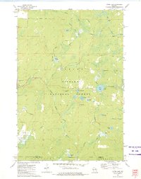 Download a high-resolution, GPS-compatible USGS topo map for Otter Lake, WI (1975 edition)