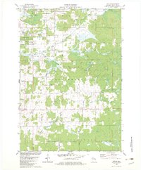 Download a high-resolution, GPS-compatible USGS topo map for Peplin, WI (1982 edition)