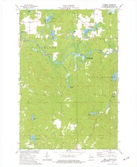 Download a high-resolution, GPS-compatible USGS topo map for Pickerel, WI (1977 edition)