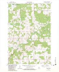 preview thumbnail of historical topo map of Lincoln County, WI in 1982