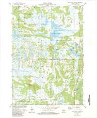 Download a high-resolution, GPS-compatible USGS topo map for Quail Point Flowage, WI (1984 edition)