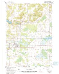 Download a high-resolution, GPS-compatible USGS topo map for Redgranite, WI (1991 edition)