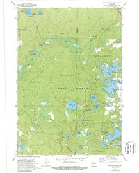 Download a high-resolution, GPS-compatible USGS topo map for Reservoir Pond, WI (1989 edition)