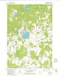 1979 Map of Rib Lake, WI, 1980 Print