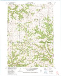 Download a high-resolution, GPS-compatible USGS topo map for Rising Sun, WI (1983 edition)