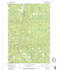 Download a high-resolution, GPS-compatible USGS topo map for Roaring Rapids, WI (1988 edition)