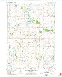 Download a high-resolution, GPS-compatible USGS topo map for Rosendale, WI (1981 edition)