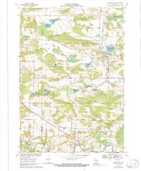 Download a high-resolution, GPS-compatible USGS topo map for Scandinavia, WI (1991 edition)