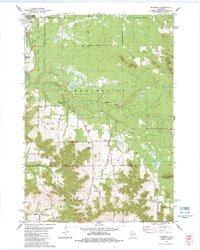 Download a high-resolution, GPS-compatible USGS topo map for Shamrock, WI (1984 edition)