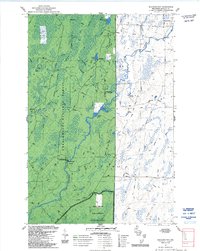 Download a high-resolution, GPS-compatible USGS topo map for Shanagolden, WI (1992 edition)