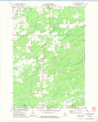 Download a high-resolution, GPS-compatible USGS topo map for Sheldon NE, WI (1974 edition)