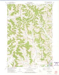 Download a high-resolution, GPS-compatible USGS topo map for Swinns Valley, WI (1975 edition)