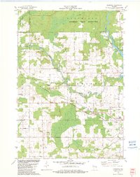 Download a high-resolution, GPS-compatible USGS topo map for Thornton, WI (1982 edition)