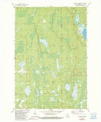 Download a high-resolution, GPS-compatible USGS topo map for Thunder%20Creek, WI (1990 edition)