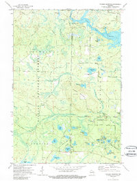 Download a high-resolution, GPS-compatible USGS topo map for Thunder Mountain, WI (1989 edition)