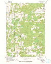 Download a high-resolution, GPS-compatible USGS topo map for Tigerton NW, WI (1990 edition)