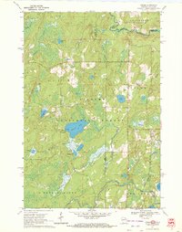 preview thumbnail of historical topo map of Forest County, WI in 1970