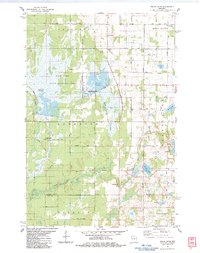 preview thumbnail of historical topo map of Burnett County, WI in 1983