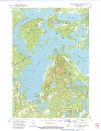 Download a high-resolution, GPS-compatible USGS topo map for Turtle-Flambeau Flowage, WI (1989 edition)