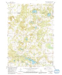 Download a high-resolution, GPS-compatible USGS topo map for Westfield West, WI (1991 edition)