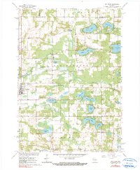 Download a high-resolution, GPS-compatible USGS topo map for Wild Rose, WI (1991 edition)