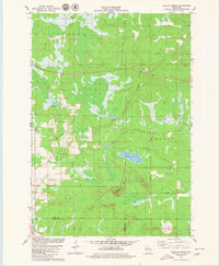 Download a high-resolution, GPS-compatible USGS topo map for Wildcat%20Mound, WI (1980 edition)
