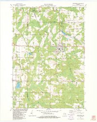 preview thumbnail of historical topo map of Wittenberg, WI in 1982