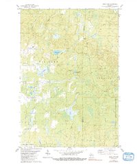 Download a high-resolution, GPS-compatible USGS topo map for Wood Lake, WI (1991 edition)