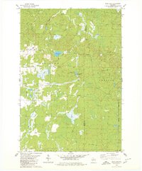 Download a high-resolution, GPS-compatible USGS topo map for Wood Lake, WI (1980 edition)