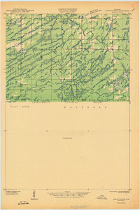 1945 Map of Black River