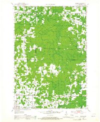 Download a high-resolution, GPS-compatible USGS topo map for Doering, WI (1964 edition)
