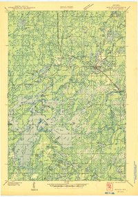 Download a high-resolution, GPS-compatible USGS topo map for Mercer, WI (1945 edition)