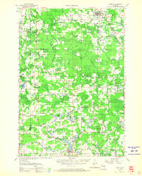 1955 Map of Tigerton, WI, 1966 Print