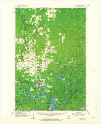 Download a high-resolution, GPS-compatible USGS topo map for Iron Lake, WI (1963 edition)