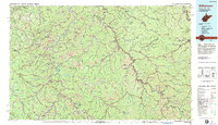 Download a high-resolution, GPS-compatible USGS topo map for Williamson, WV (1983 edition)