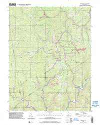 Download a high-resolution, GPS-compatible USGS topo map for Bentree, WV (2002 edition)