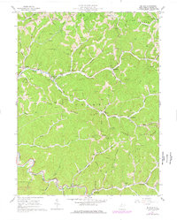 Download a high-resolution, GPS-compatible USGS topo map for Big Run, WV (1977 edition)