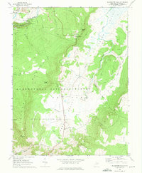 Download a high-resolution, GPS-compatible USGS topo map for Blackwater Falls, WV (1975 edition)