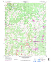 Download a high-resolution, GPS-compatible USGS topo map for Brandonville, WV (1998 edition)