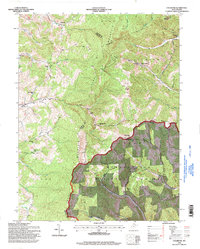 Download a high-resolution, GPS-compatible USGS topo map for Colebank, WV (1998 edition)