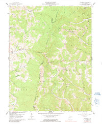 Download a high-resolution, GPS-compatible USGS topo map for Colebank, WV (1991 edition)