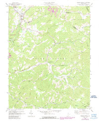 Download a high-resolution, GPS-compatible USGS topo map for Meadow Bridge, WV (1989 edition)