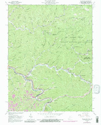 Download a high-resolution, GPS-compatible USGS topo map for Naugatuck, WV (1989 edition)