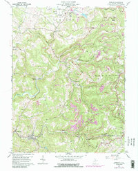 Download a high-resolution, GPS-compatible USGS topo map for Newburg, WV (1988 edition)