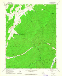Download a high-resolution, GPS-compatible USGS topo map for Paddy Knob, WV (1964 edition)