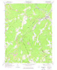 Download a high-resolution, GPS-compatible USGS topo map for Rainelle, WV (1977 edition)